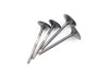 CRF450R 2002–2006 Intake & Exhaust Valves Honda #57