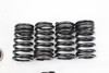 KLX250 18–20 KLX300R 97–07 Valve Springs & Retainers Kawasaki #311