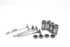 250 SX-F XC-F EXC-F 2008-2013 Valves & Springs Set KTM #315