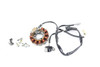 YZ250F 14–18 YZ450F 14–17 Stator Generator Assy Yamaha 1SL-81410-01-00 #319