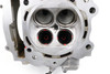 YXM 700 Viking / VI / Wolv 14-24 Cylinder Head Yamaha 2BG-11102-00 #201