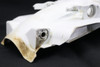 CRF250R 14-17 CRF450R 13-16 Rear Fender Guard Honda 80101-MEN-A71ZA #325