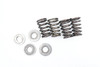 250 SX-F XC-F EXC-F 2005-2007 Valve Springs & Retainers KTM 77036028000 #323