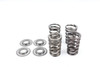 250 SX-F XC-F EXC-F 2005-2007 Valve Springs & Retainers KTM 77036028000 #323
