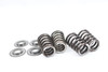 250 SX-F XC-F EXC-F 2005-2007 Valve Springs & Retainers KTM 77036028000 #323