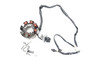 KLX300R 1997-2007 Stator Generator Assy Kawasaki 21003-1274 #331