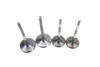 CRF450R 2007-2008 Intake & Exhaust Valves Honda #333