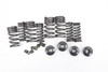 350 FC SX-F XC-F 2016-2022 Valve Springs & Retainers Husqvarna 79236028044 #337
