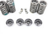 250 SX-F XC-F 2013-2015 Valve Springs & Retainers KTM #342