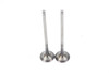 250 SX-F XC-F EXC-F 2013-2024 Exhaust Valves KTM 77736031000 #342