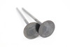 250 SX-F XC-F EXC-F 2013-2024 Exhaust Valves KTM 77736031000 #342