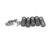 CRF250R 2008-2009 Clutch Springs & Bolts Honda 22401-KRN-A10 #341