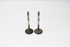 YFZ450 2004-2013 Exhaust Valve Set Yamaha 5TA-12121-00-00 #172