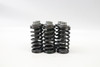 450 SX-F XC-F 2007-2011 Clutch Spring & Bolt Set KTM 77332005000 #88