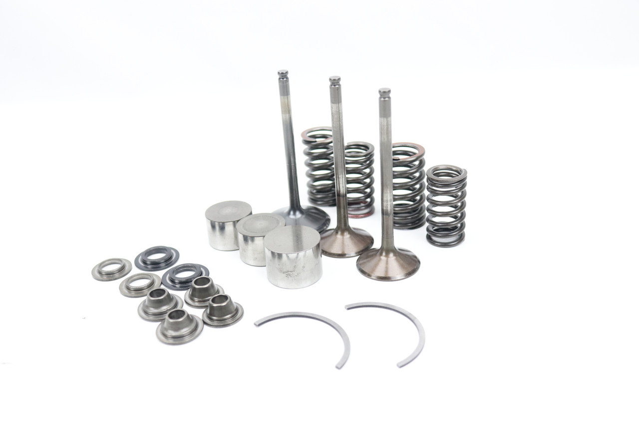 YZ450F 14-17 WR450F 16-18 Valves & Springs Set Yamaha #319