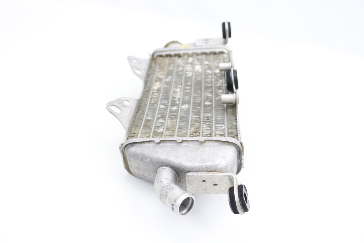 KLX300R 1997-2007 Right Radiator Cooling Assy Kawasaki 39061-1234 #331