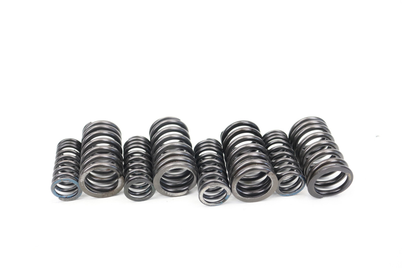 KLX250 93-95 KLX250R 93-96 Valve Springs Set Kawasaki #73