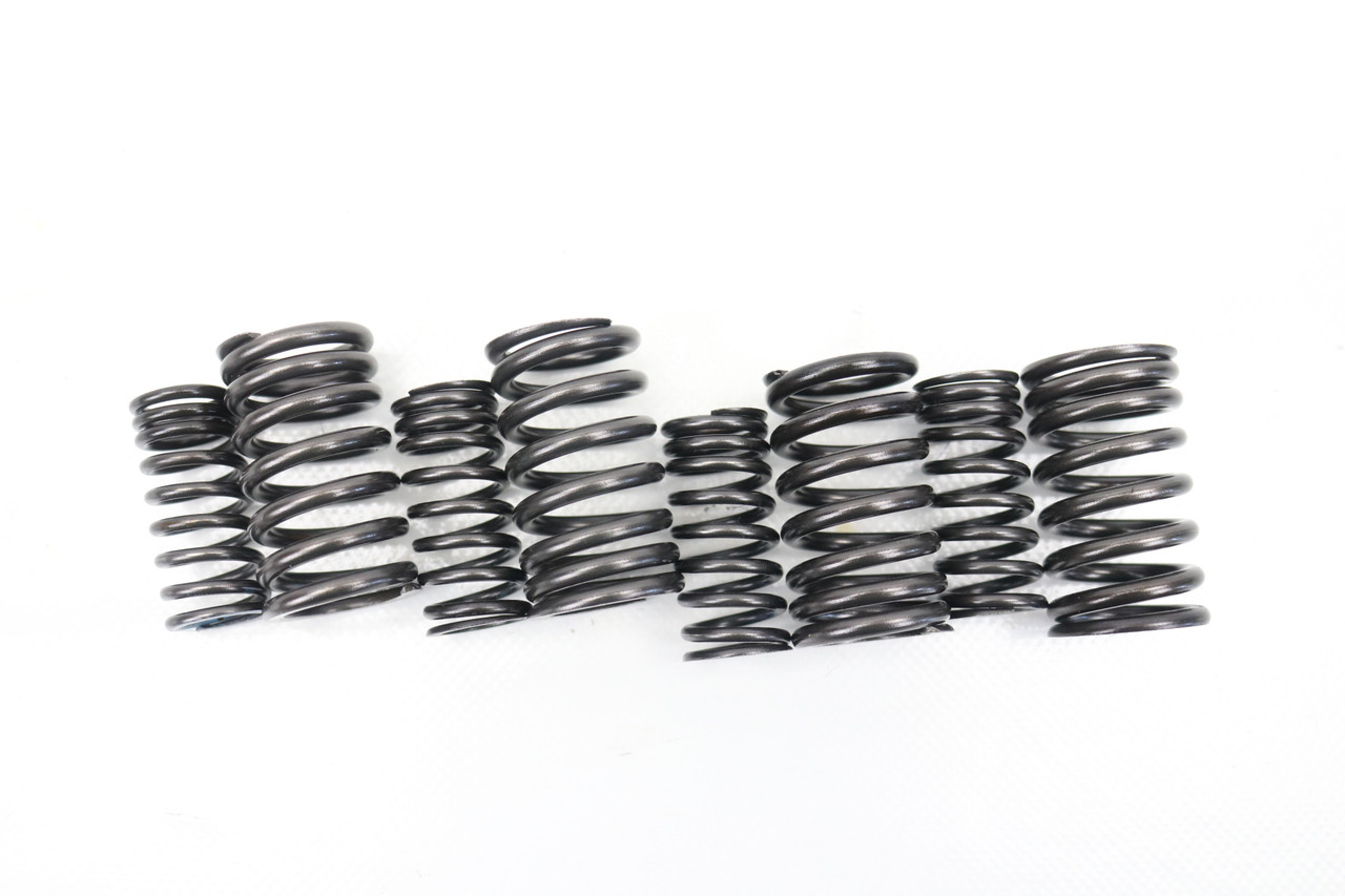 KLX250 93-95 KLX250R 93-96 Valve Springs Set Kawasaki #73