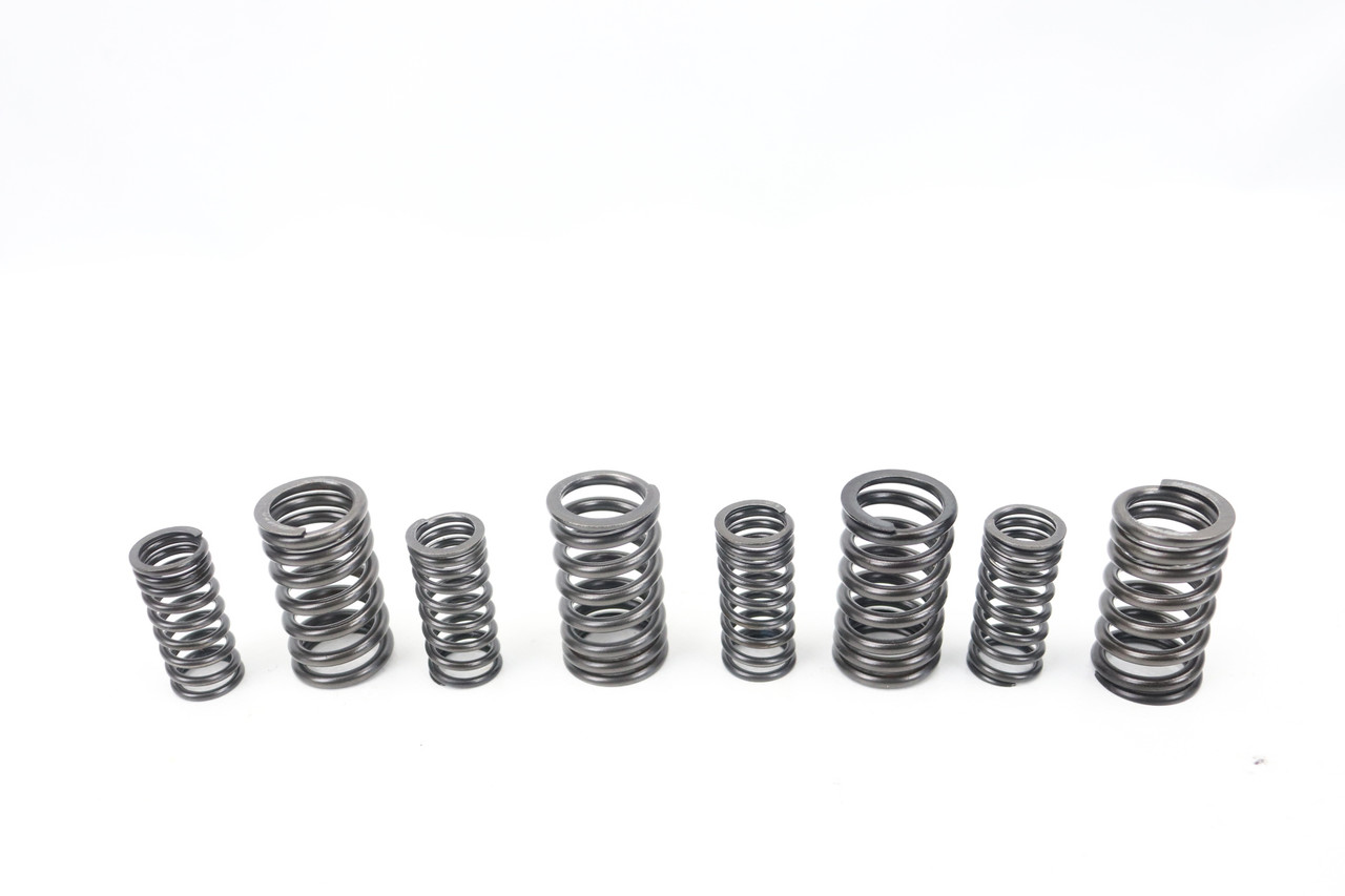 KLX250 93-95 KLX250R 93-96 Valve Springs Set Kawasaki #73