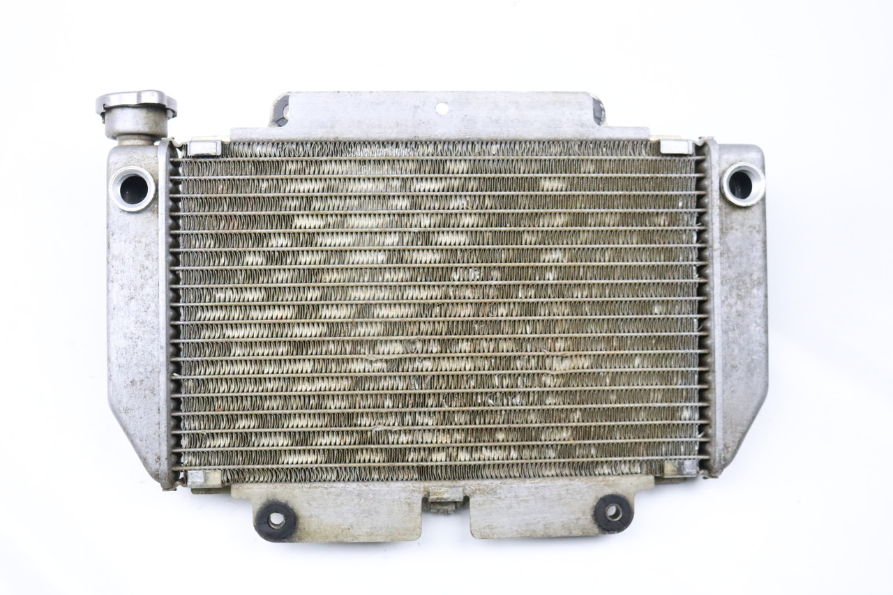 YFZ450 2006-2013 Radiator Assembly Cooling Yamaha 5TG-12461-10-00 #172