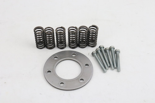 KLX300R 1998-2007 Clutch Springs & Bolts Kawasaki 92145-1095 #226
