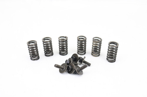 DR350 1993-1995 Clutch Springs & Bolts Suzuki 09440-15014 #107