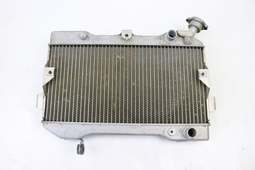 LTR450 2006-2011 Radiator Assembly Cooling Suzuki LTR 17710-45G00 #202