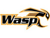 Wasp Archery
