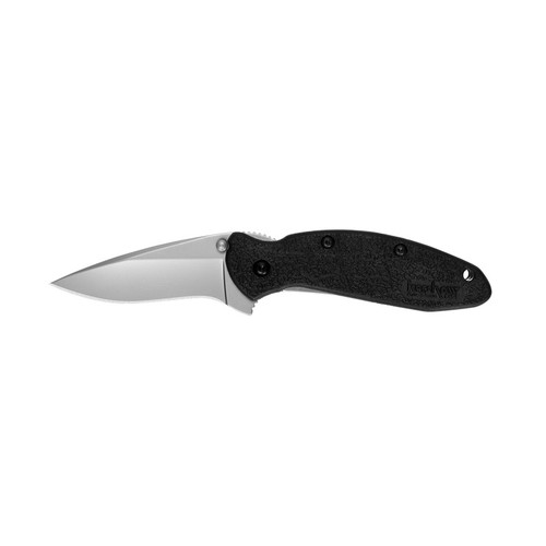 Kershaw 1620 Scallion Folding Knife Assisted SpeedSafe Drop Point 2.40" 420HC Plain Edge Blade, Black Handle