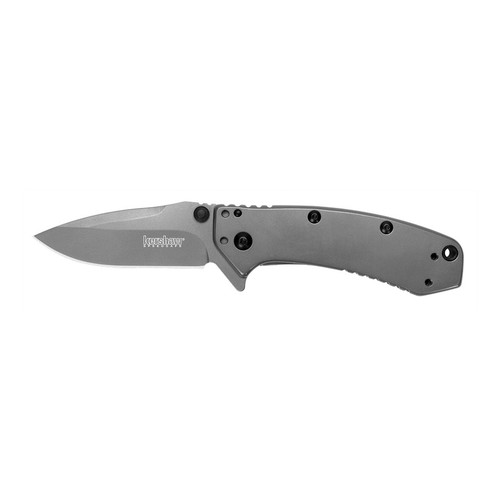 Kershaw 1555TI Cryo Folding Knife Assisted SpeedSafe Drop Point 2.75" Titanium Carbon-Nitride Coating, Satin Flats 8Cr13MoV Plain Edge Blade, Gray Handle
