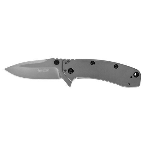 Kershaw 1556TIX Cryo II Folding Knife Assisted SpeedSafe Drop Point 3.25" Titanium Carbon-Nitride Coating, Satin Flats 8Cr13MoV Plain Edge Blade, Gray Handle