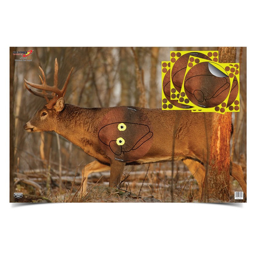 Birchwood Casey BC-37431 Eze-Scorer 23" X 35" Whitetail Deer Target