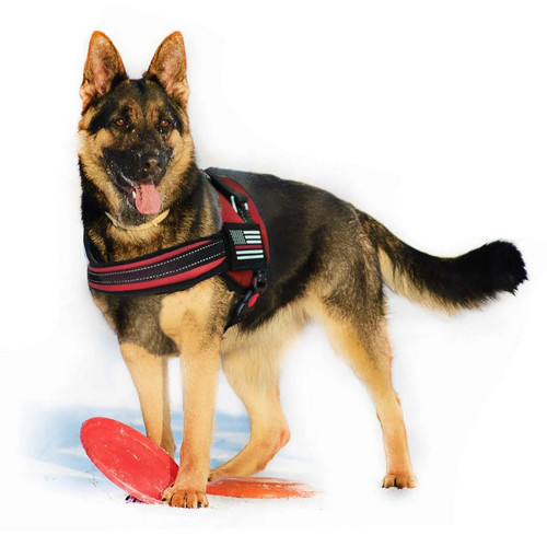 Thin Red Line Dog Harness with Patch