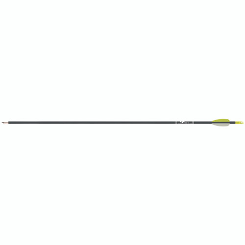 Gold Tip FIBA25 Fiberglass Arrows Black, 1 Dozen