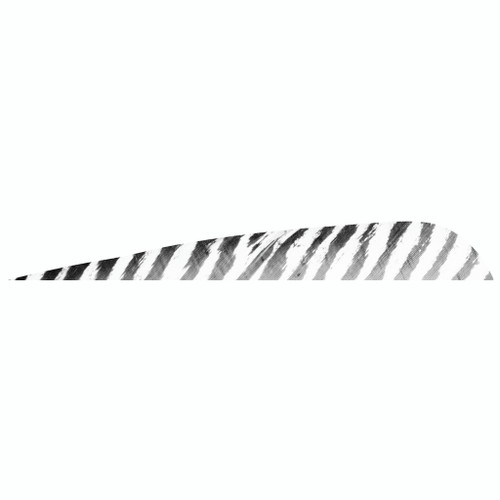 Gateway Barred Feathers 5 Inches, RW, 50 Pack