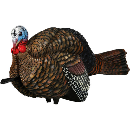 Avian-X AVX-AVX8012 1/2 Strut Jake Turkey Decoy, Black