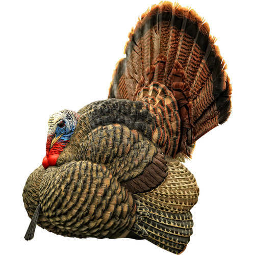 Avian-X AVX-AVX8004 Strutter Turkey Decoy, Black