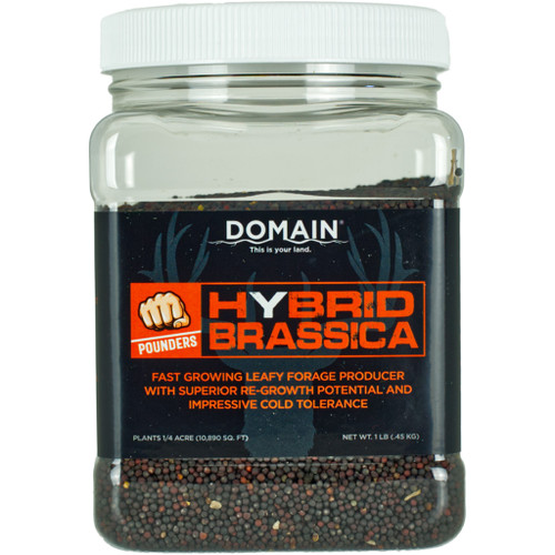 Domain DHBS1LB Hybrid Brassica Pounder Seed, 1/4 Acre
