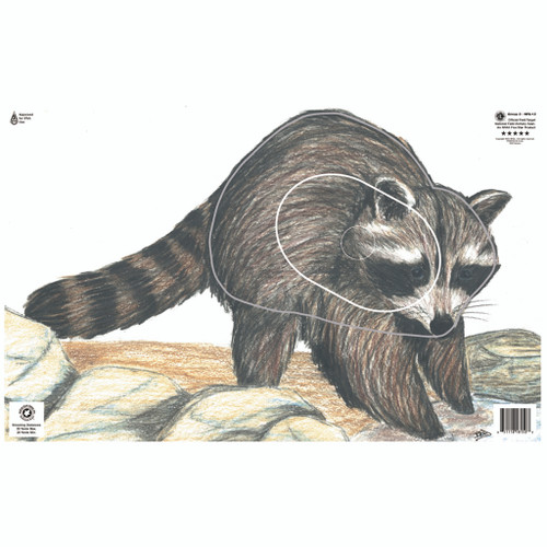 Maple Leaf Press NFA-13 NFAA Animal Faces Group 3 Raccoon, Grey