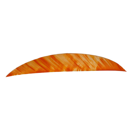 Gateway 512RMTWO-50 Magnum Feathers Tre 5.5 Inches, RW White, 50 Pack