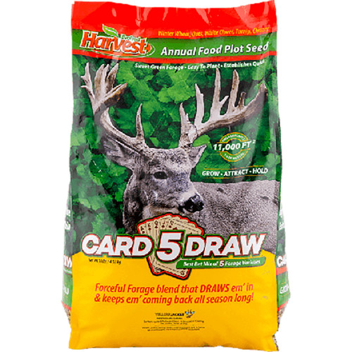 Evolved Habitats EVO73028 5 Card Draw Seed 10 lb, Grey