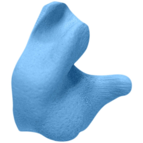 Radians CEP002-B Custom Molded Earplugs for Shooting Sports, Blue, 1 Pack