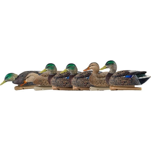 Avian-X AVX-AVX8062 Top Flight Duck Decoys Early Season Mallards, Brown, 6 Pack
