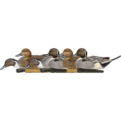 Avian-X AVX-AVX8082 Top Flight Duck Decoys Pintail, Brown, 6 Pack