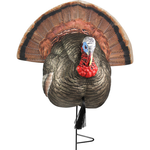 The Grind TG8864 1/4 Strutter Turkey Decoy, Multicolor