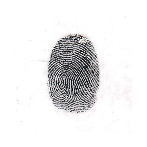 Sirchie Regular Black Magnetic Fingerprint Powder