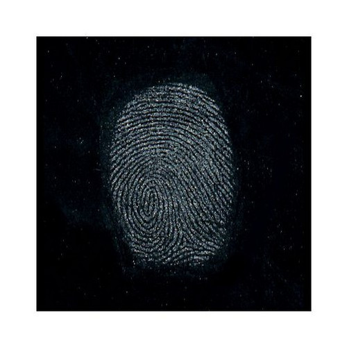 Sirchie Regular Silk Gray “Hi-Fi” Volcano Latent FIngerprint Powder