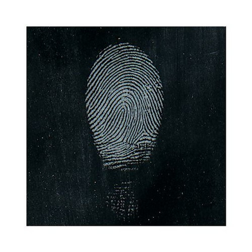 Sirchie Regular Silver Magnetic Fingerprint Powder