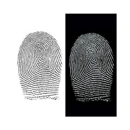Sirchie Regular Silver/Black Magnetic Fingerprint Powder