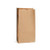 Sirchie Blank Kraft Evidence Bags (100 Pack)